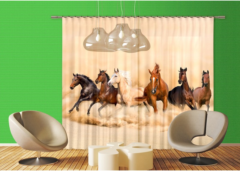 Koně různých plemen, závěs, AG Design, 280 x 245 cm, 2 díly, do kuchyně, obývacího pokoje, ložnice, FCPXXL 6422