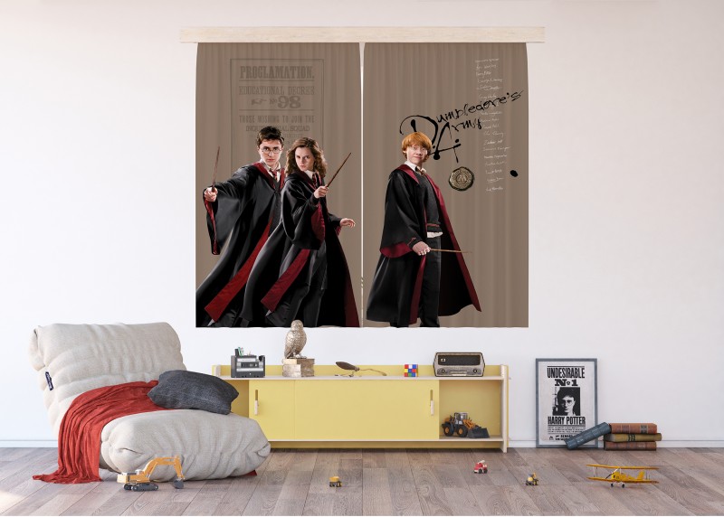 Harry Potter , záclony AG Design, pro dětské pokoje, 180 x 160 cm, FCSXL321 - 410