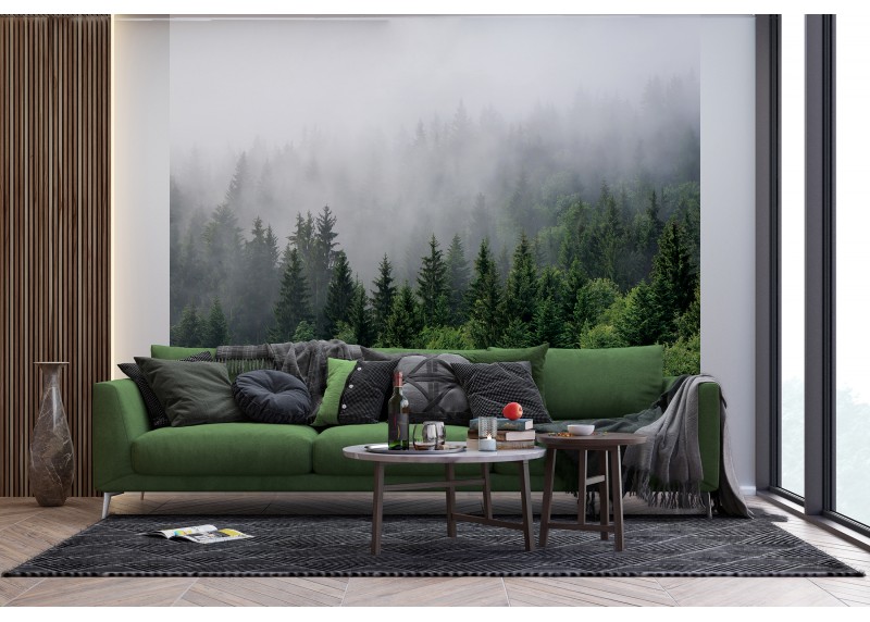 Les v ranní mlze, AG Design, fototapeta ekologická vliesová do obývacího pokoje, ložnice, jídelny, kuchyně, lepidlo součástí balení, 225x270