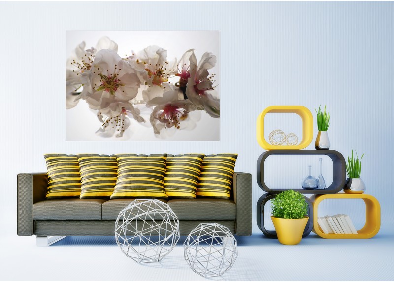 Květy sakury, AG Design, fototapeta ekologická vliesová do obývacího pokoje, ložnice, jídelny, kuchyně, lepidlo součástí balení, 155x110