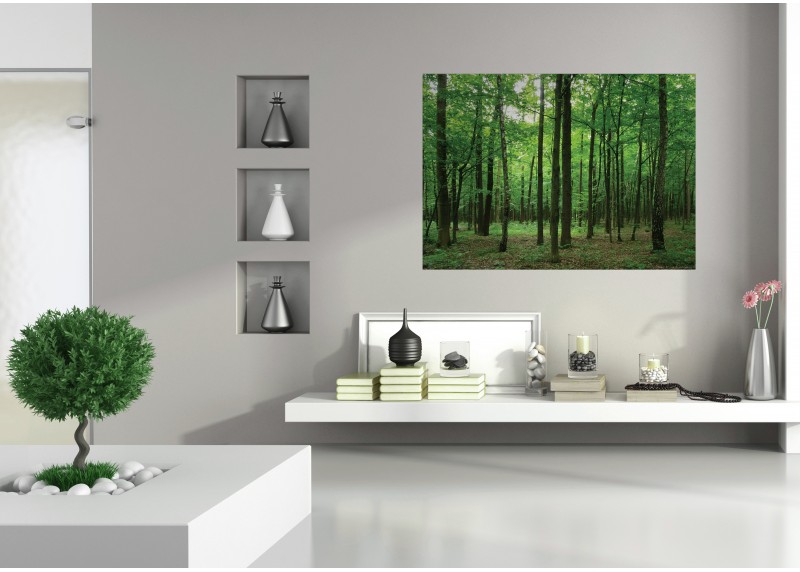 Les, AG Design, fototapeta ekologická vliesová do obývacího pokoje, ložnice, jídelny, kuchyně, lepidlo součástí balení, 155x110