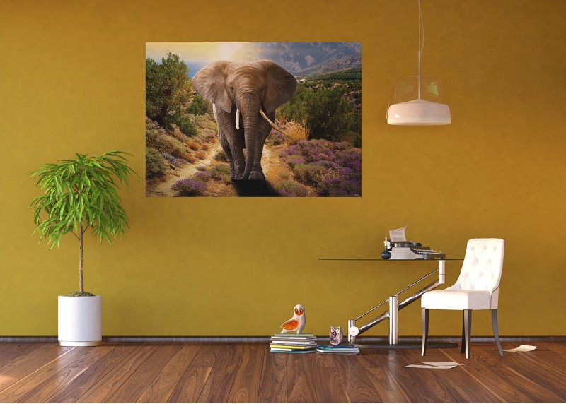 Slon, AG Design, fototapeta ekologická vliesová do obývacího pokoje, ložnice, jídelny, kuchyně, lepidlo součástí balení, 155x110