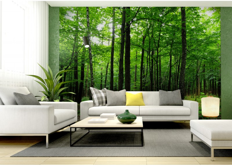 Les, AG Design, fototapeta ekologická vliesová do obývacího pokoje, ložnice, jídelny, kuchyně, lepidlo součástí balení, 360x270
