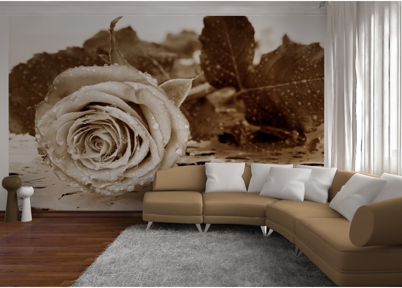 Černobílá růže, AG Design, fototapeta ekologická vliesová do obývacího pokoje, ložnice, jídelny, kuchyně, lepidlo součástí balení, 360x270