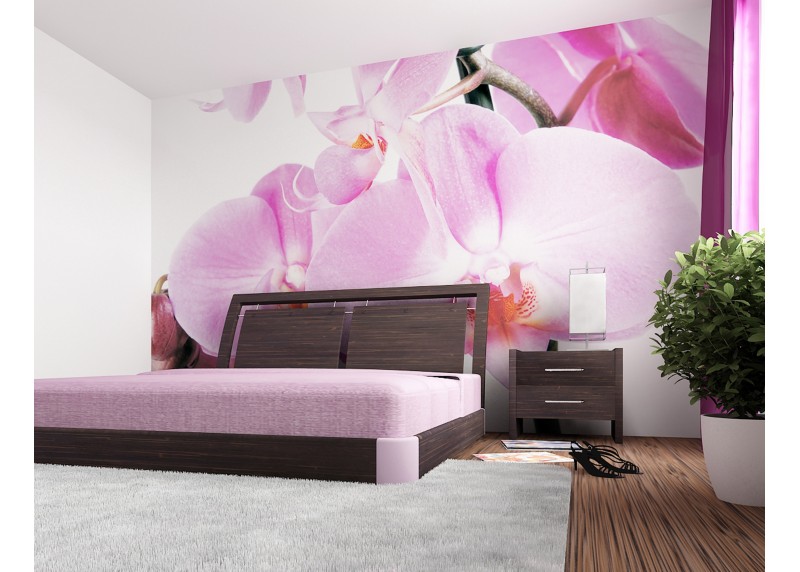 Fialová orchidej, AG Design, fototapeta ekologická vliesová do obývacího pokoje, ložnice, jídelny, kuchyně, lepidlo součástí balení, 360x270