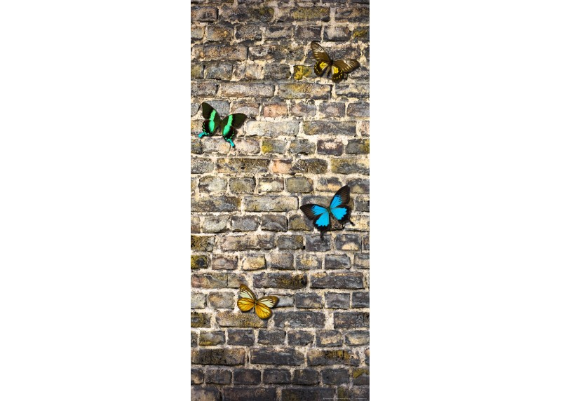 Motýly na kamenné zdi, AG Design, fototapeta ekologická vliesová do obývacího pokoje, ložnice, jídelny, kuchyně, lepidlo součástí balení, 90x202
