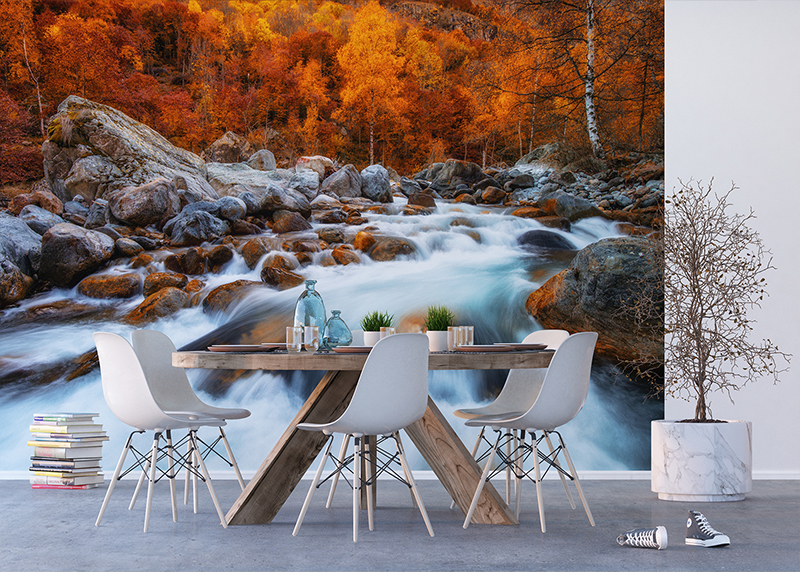 Řeka v podzimním lese, AG Design, fototapeta ekologická vliesová do obývacího pokoje, ložnice, jídelny, kuchyně, lepidlo součástí balení, 360x270