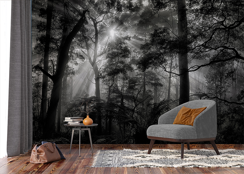 Černobílý les, AG Design, fototapeta ekologická vliesová do obývacího pokoje, ložnice, jídelny, kuchyně, lepidlo součástí balení, 360x270