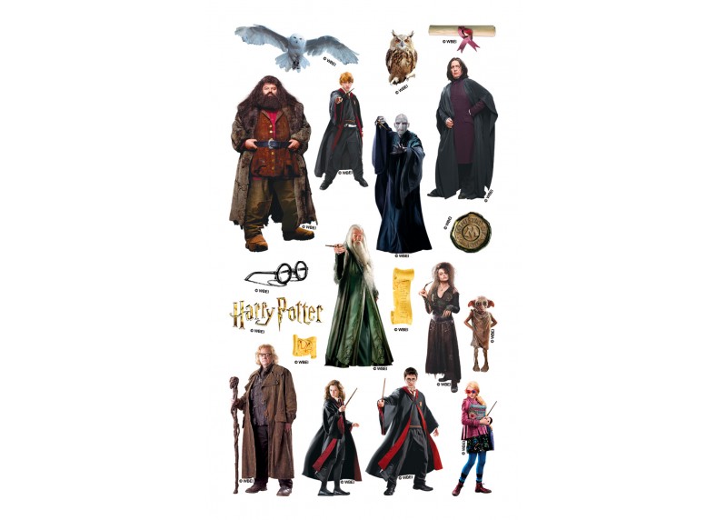 Samolepka Harry Potter, 7,5 x 12,3 cm, DKL 4612