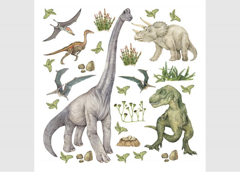 Samolepka Dino, 30 x 30 cm, DKS 3821