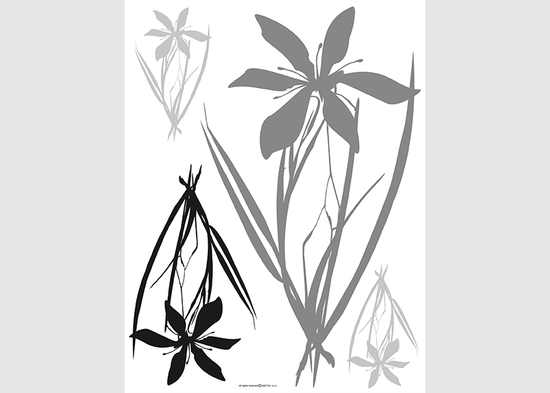 Samolepka na zeď,  AG Design, F 0443, Černé a šedé květiny, 65x85 cm