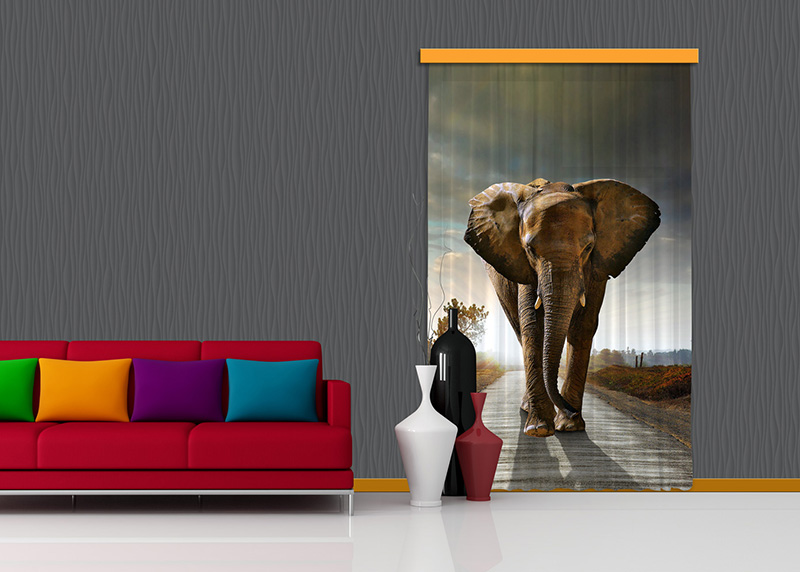 Slon, závěs AG Design, 140 x 245 cm, 1 díl, do kuchyně, obývacího pokoje, ložnice, FCPL 6507