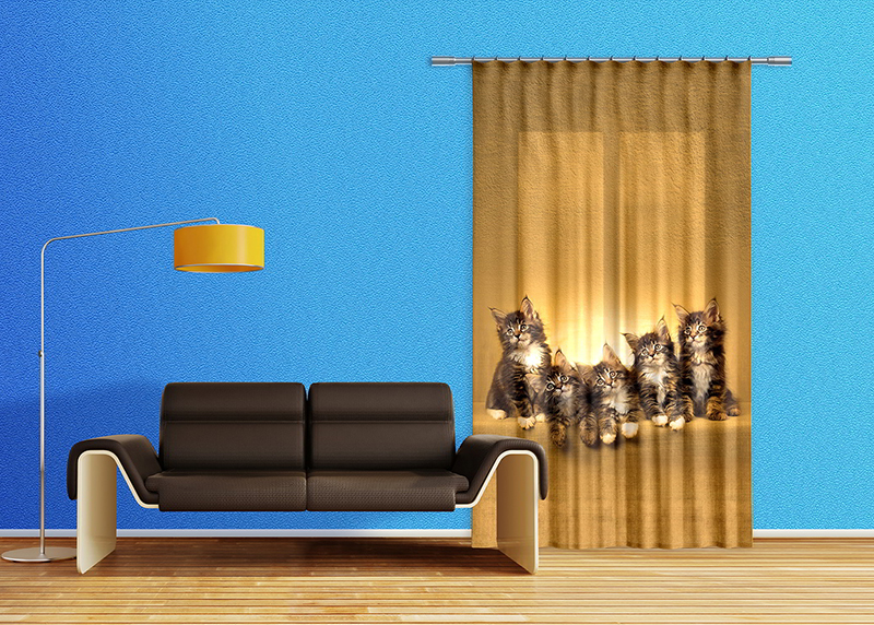 Kočky, závěs AG Design, 140 x 245 cm, 1 díl, do kuchyně, obývacího pokoje, ložnice, FCPL 6521