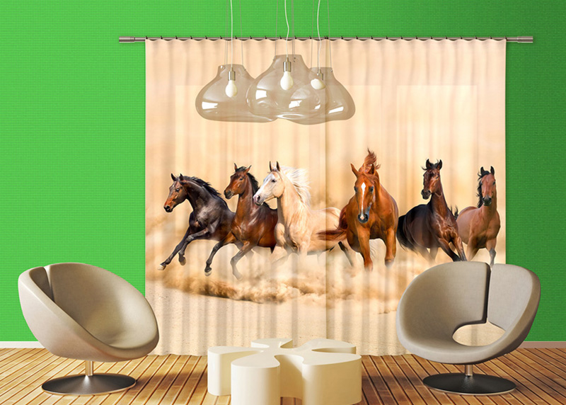 Koně, záclony, AG Design, 280 x 245 cm, 2 díly, do kuchyně, obývacího pokoje, ložnice, FCSXXL 7422