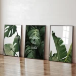 Oboustranná Sada Plakátů Botanika, 3 x A3, P3 351483 - Obrázek 6