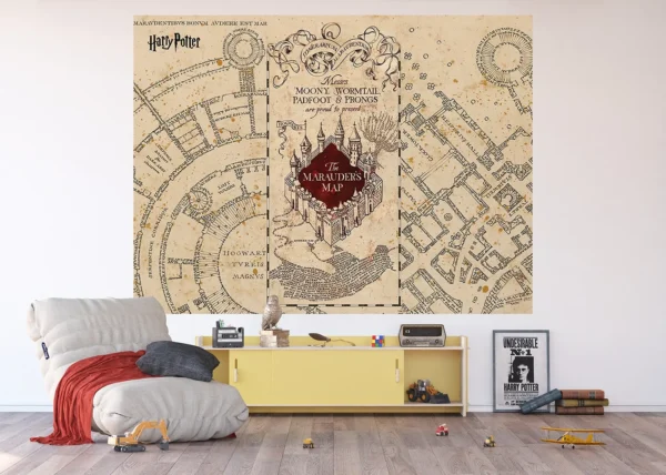 Dětská vliesová fototapeta na zed' Harry Potter a Pobertův Plánek | 252 x 182 cm | FTDXL 1977