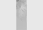 Vliesová fototapeta na zed' Dekorační Peří | 90 x 270 cm | FTNVL 3726