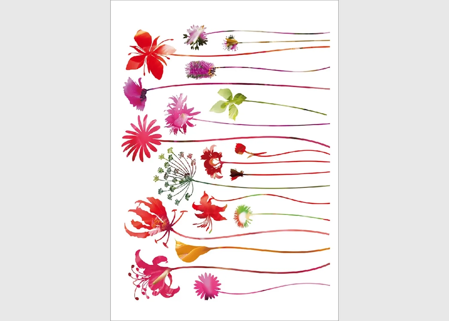 F_0444-1.webp Samolepka na zeď Květiny s Dlouhými Stonky | 65 x 85 cm | F 0444