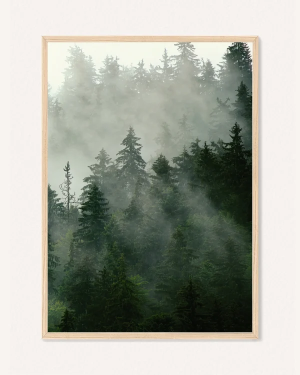 Oboustranný plakát Příroda, 30 x 42 cm, P 351465