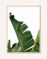 Oboustranný plakát Botanika, 30 x 42 cm, P 351489 - Obrázek 2