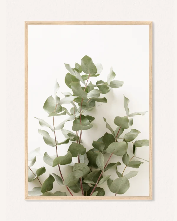 Oboustranný plakát Botanika, 30 x 42 cm, P 351489